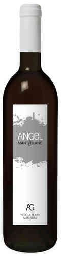 Mant Blanc 2016 Angel Bodegas